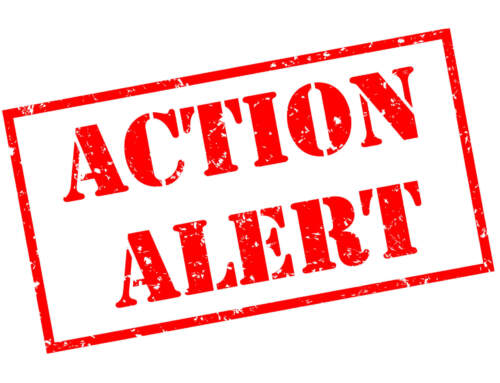 Action Alert: Reject the Cattle Price Discovery and Transparency Act