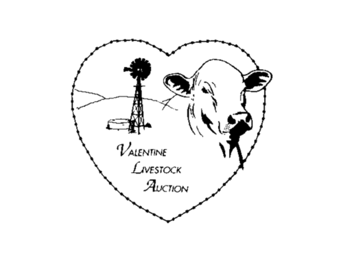 Valentine Livestock Auction Calf Sale Fundraiser April 13