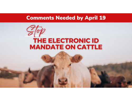 Member Alert: USDA Eartags – A Pricy Solution in Search of a Problem Op-ed by Rep. Hageman